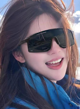 户外太阳镜大框防风运动男女