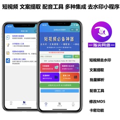 配音抖音快手小红薯文案提取短视频去水印小程序流量主源码搭建接