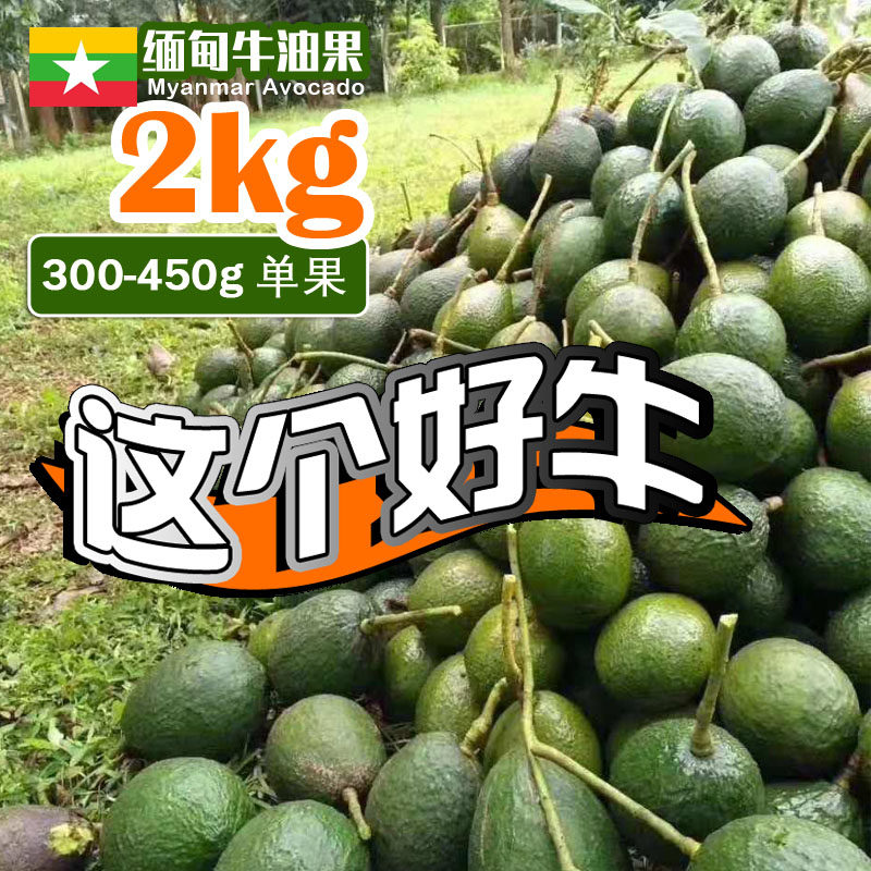 缅甸进口牛油果2kg野生新鲜特大巨无霸单果300g+宝宝食非智利水果在类目 水产肉类/新鲜蔬果/熟食, 新鲜水果, 牛油果中 - 来自Buy2taobao.com提供专业的淘宝代购服务