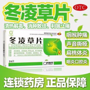 包邮】广宇冬凌草片24片/盒 清热利咽止痛声音嘶哑扁桃体炎口腔炎
