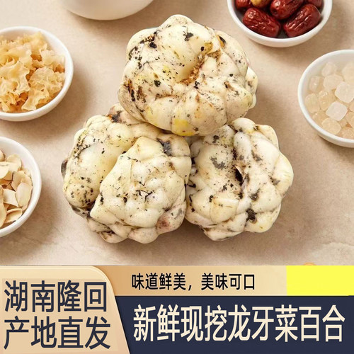 新鲜百合湖南龙牙菜百合无硫现挖鲜发甜品鲜粉糯清甜无苦食用百合