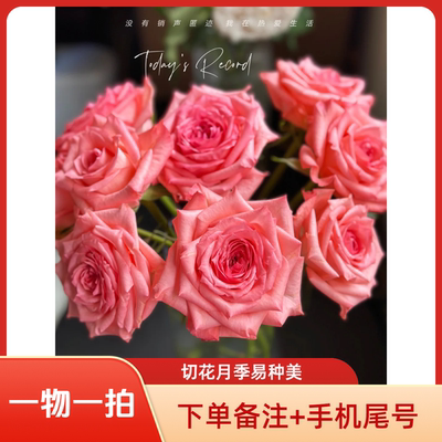 【直播间专拍链接】一物一拍   下单备注手机尾号