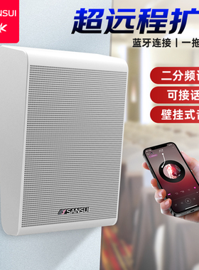 山水壁挂墙音箱喇叭天花吊顶套装会议室内商用店铺餐厅超市广播