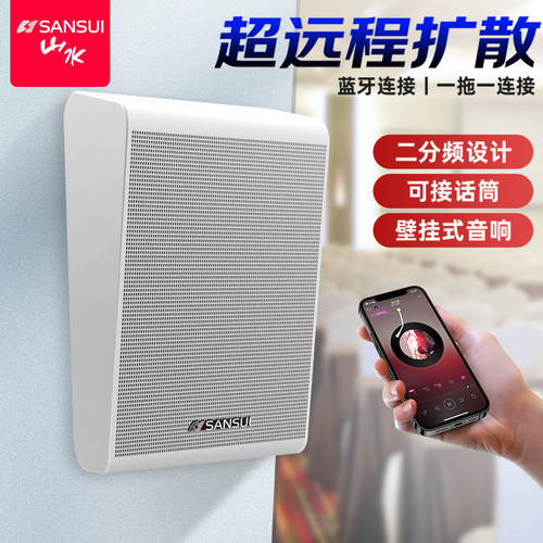 山水壁挂蓝牙音响套装