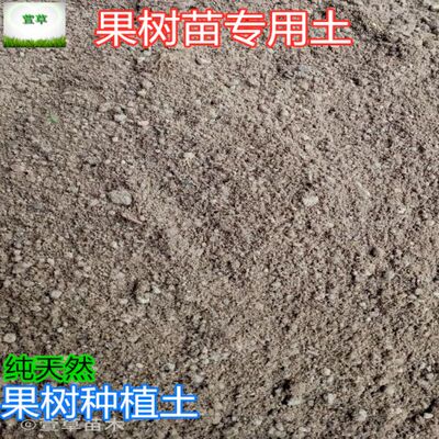 果树苗木田园土家庭园艺肥料阳台盆栽蓝莓金桔花卉植物种植松针土