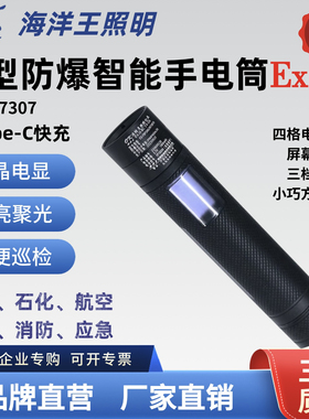 海洋王JW7307A防爆手电筒LED强光充电式户外消防头灯微型屏幕显示