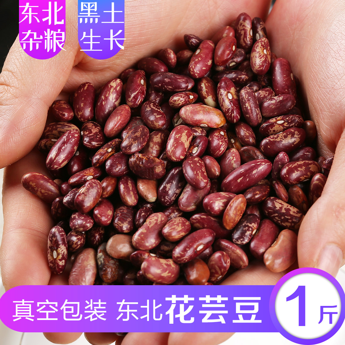 东北花芸豆 豆馅饭豆子新鲜杂粮黑龙江特产熬大碴子粥豆包馅500克