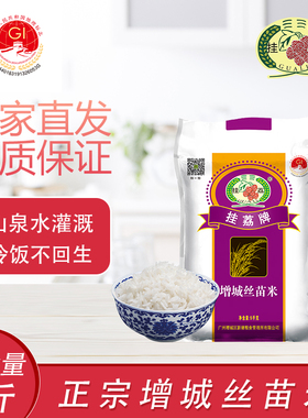 挂荔增城丝苗米5KG长粒香大米10斤南方籼米优质新米国家地标产品