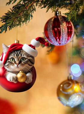 2d Acrylic Funny Cute Plump Cat Holding Christmas Ball Chris