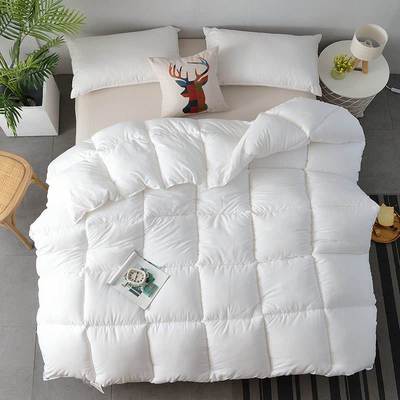 winter duvet quilted quilt king queen twin size comforter 被