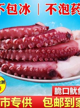 脆口特大鱿鱼须整箱5斤新鲜