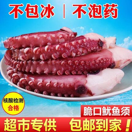 脆口特大鱿鱼须整箱5斤新鲜八爪鱼章鱼足1斤海鲜水产火锅食材