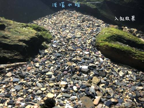 大矶黑色不影响水质包邮鱼缸底砂