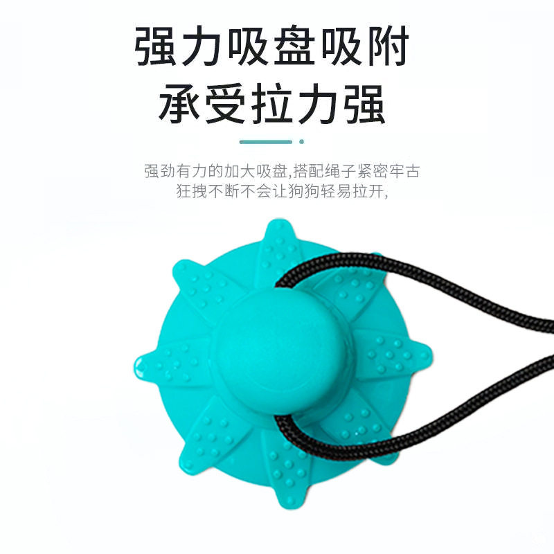 宠物玩具吸盘漏食球自嗨