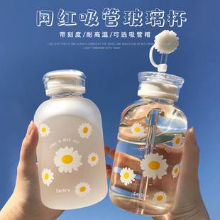 水杯韩版 ins网红玻璃杯女个性 可爱便携学生吸管杯子创意潮流森系