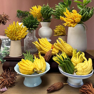 很好看金华佛手基地直发香味治愈