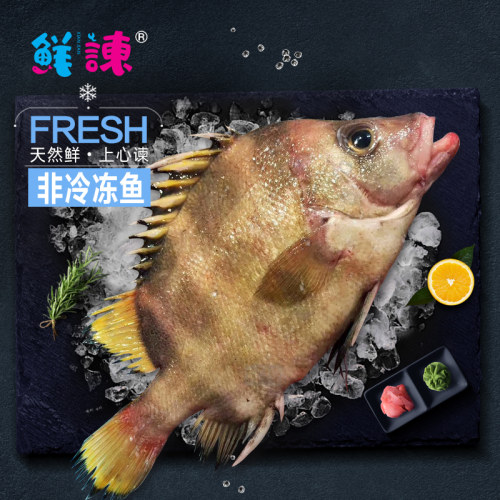 珍頹海鲜高端鲜鱼鲜谏