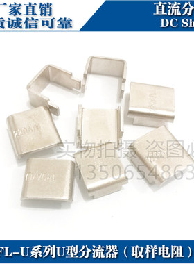 U型分流器40A60A180A220A电阻