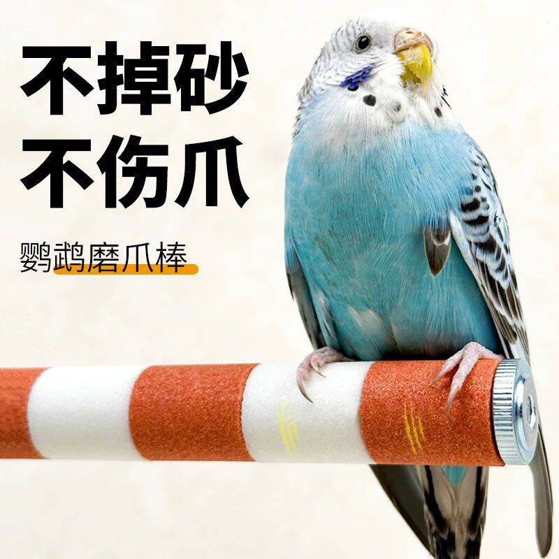 鸟类用品磨爪棒鸟站杆鹦鹉站架玩具训练磨砂磨甲器不锈钢鸟笼站棍