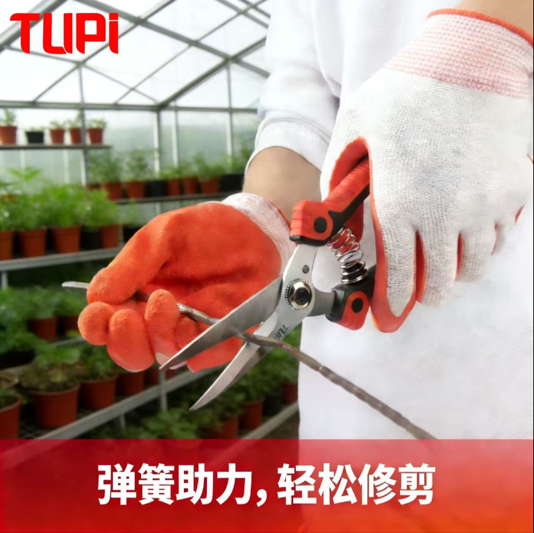 TUPI-SK5果树剪枝专用剪刀园林工具不锈钢粗枝剪家用花剪修枝