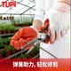 TUPI SK5果树剪枝专用剪刀园林工具不锈钢粗枝剪家用花剪修枝