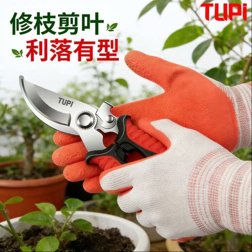 惊喜园艺专属|剩余人数28/500