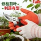 TUPI SK5不锈钢粗枝剪修枝剪刀省力家用花剪嫁接园艺果树剪枝专用