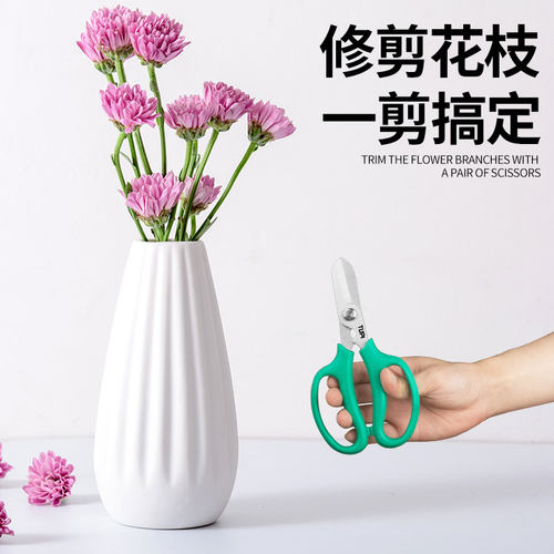 TUPI-SK5花剪粗枝剪省力家用花卉枝嫁接园艺剪不锈钢树枝修枝剪