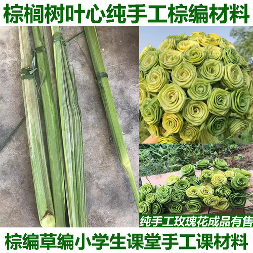 棕榈树叶棕叶棕树叶芯编织材料