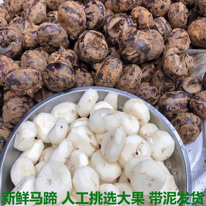 湖北农家自种新鲜马蹄荸荠精选大马蹄地栗脆甜无渣水果蔬菜包邮