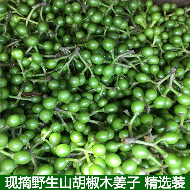 现摘新鲜山胡椒新鲜木姜子