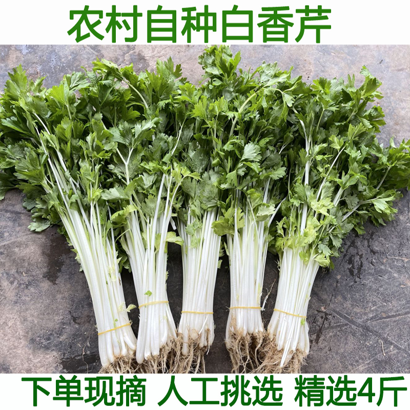 农家自种白芹菜新鲜水芹菜白水芹菜嫩芹菜新鲜蔬菜4斤包邮