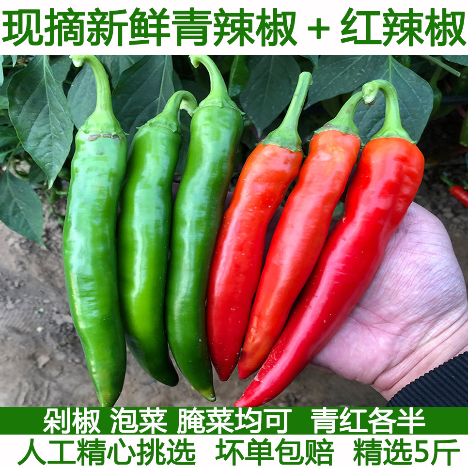农家新鲜土辣椒土广椒红辣椒紫红辣椒红尖椒青辣椒薄皮腌泡椒剁椒