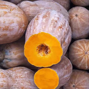 农家老南瓜农家新鲜香粉糯面宝宝辅食老品种黄皮红肉长老南瓜包邮