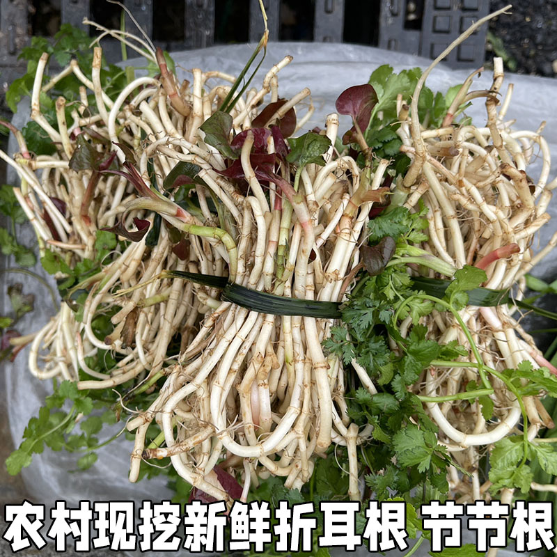 鱼腥草新鲜节节农家现挖湖北凉拌
