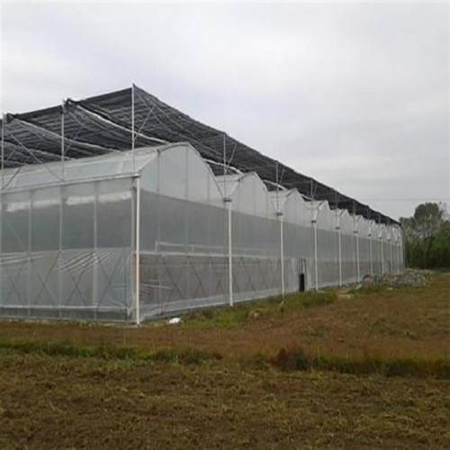 简易抗风外遮阳连栋大棚 镀锌温室连体大棚 农用蔬菜连栋薄膜温室