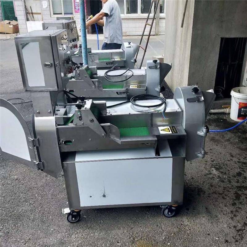 小型海带切丝机切菜机 商用食堂茄子切段切片机