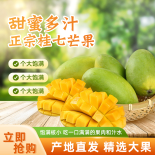 礼盒正宗当季新鲜广西桂七芒整箱10斤产地直供现摘果园直发青皮芒