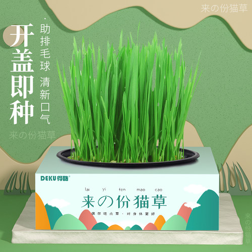 猫草种子培土盆栽薄荷罐头营养