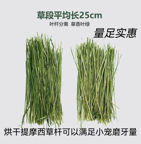 兔子龙猫豚鼠干草提摩西草