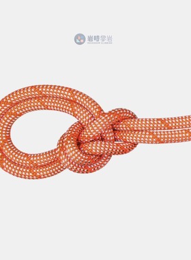 MAMMUT猛犸象9.8 Crag Classic野攀岩绳子登山户外2010-04270