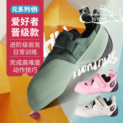 Hylonomus始林蜥-悟专业初级进阶