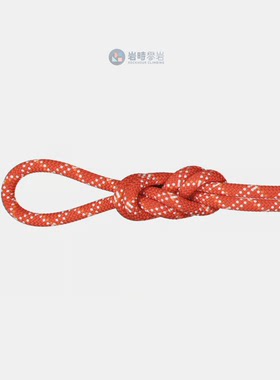 MAMMUT猛犸象野攀岩绳子9.5 Gym Classic Rope户外登山2010-04260