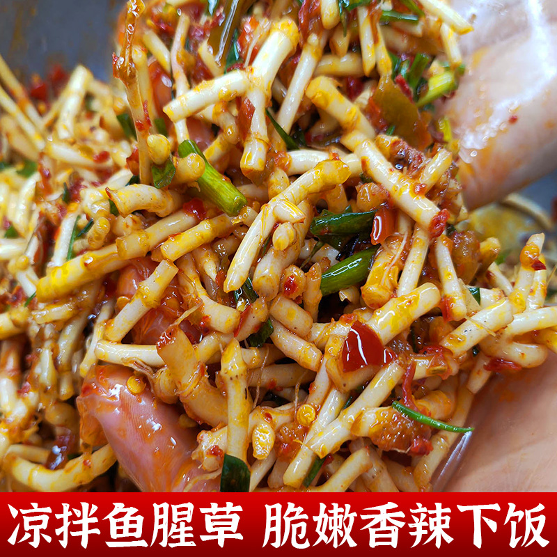 新鲜凉拌折耳根鱼腥草下饭菜