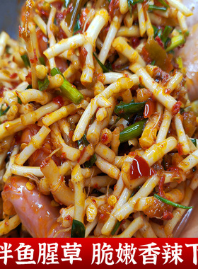 新鲜鱼腥草凉拌折耳根下饭菜香辣酸辣腌制即食小葱节节根嫩根凉菜
