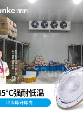 冷库专用led灯防水防潮照明灯工业三防灯室内耐低温冻库灯防爆灯