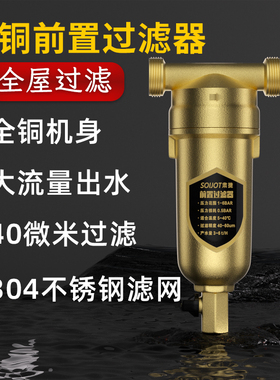 全铜前置过滤器自来水农村井水家用耐高温大流量不锈钢网净水器