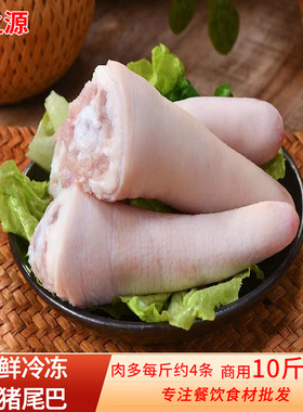 新鲜多肉短猪尾巴商用