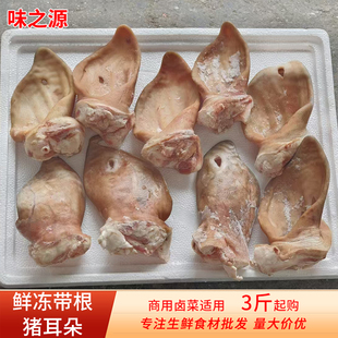 新鲜冷冻猪耳朵20斤整箱商用带根生猪耳3斤冷冻生鲜食材