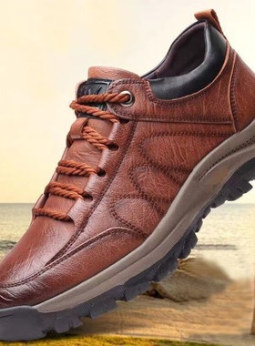 Single tton Men's Shoes 2025 British Casual Shoes Non-slip O